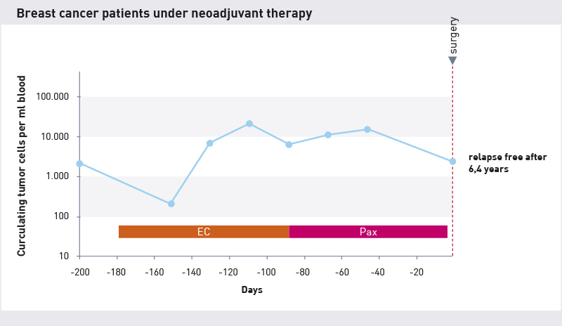 Decreasing number of cells in neoadjuvant therapy